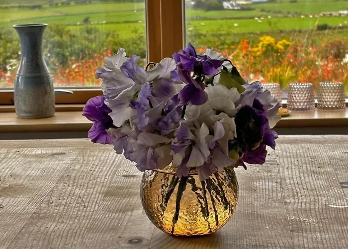 Dom wakacyjny 3 Bed In Louisburgh Oc-ii06694 *